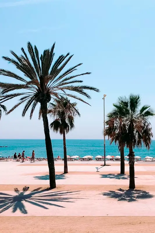 ubicación Mile Campus | Jardines y playa