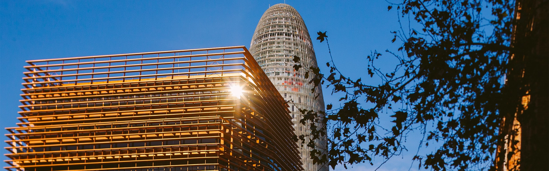 edificios de oficinas en Barcelona | Mile Campus Office Buildings in Barcelona